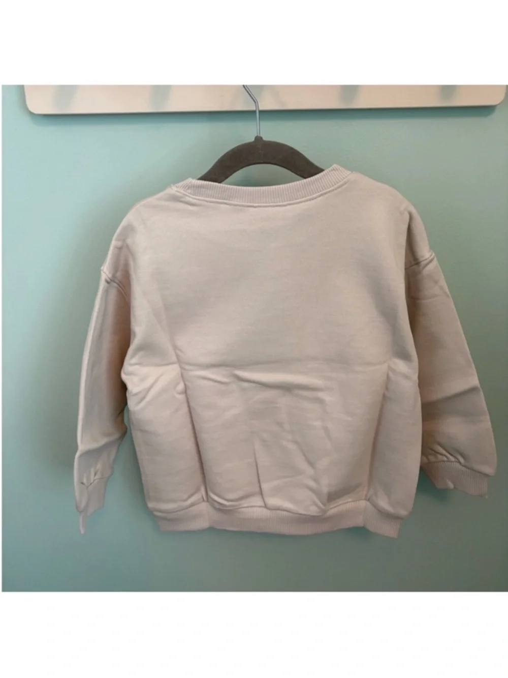 ZARA IRIDESCENT NIRVANA PRINT SWEATSHIRT - Picture 9 of 11